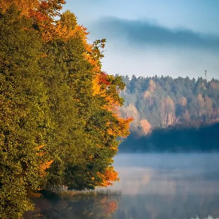 Dom Na Kaszubach Lektura Fingrowa Huta