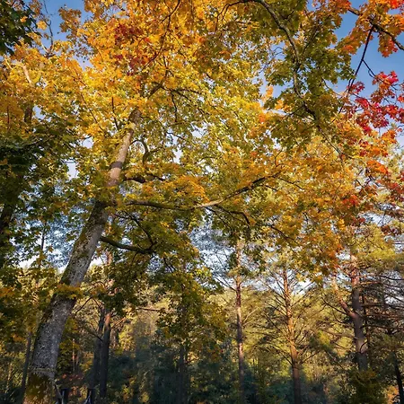 Dom Na Kaszubach Lektura Villa *