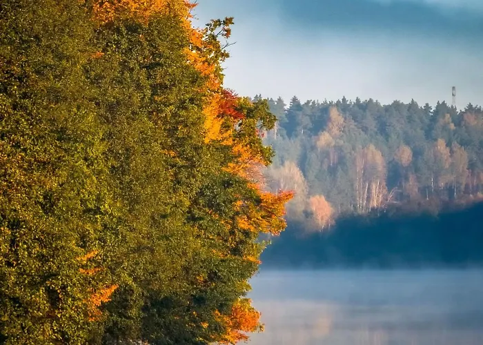 Dom Na Kaszubach Lektura Fingrowa Huta