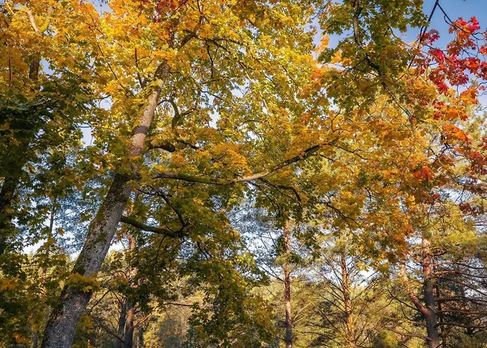 Dom Na Kaszubach Lektura Vila *